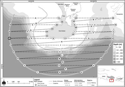 A Rapid Assessment of the Marine Megafauna Biodiversity Around South Bali, Indonesia